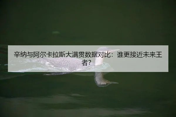 xin-na-yu-a-er-ka-la-si-da-man-guan-shu-ju-dui-bi-shui-geng-jie-jin-wei-lai-wang-zhe-2-521.jpg