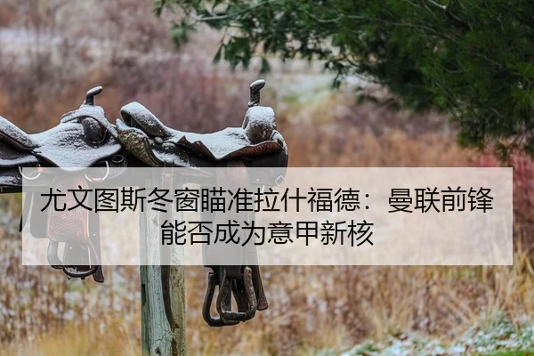 尤文图斯冬窗瞄准拉什福德：曼联前锋能否成为意甲新核